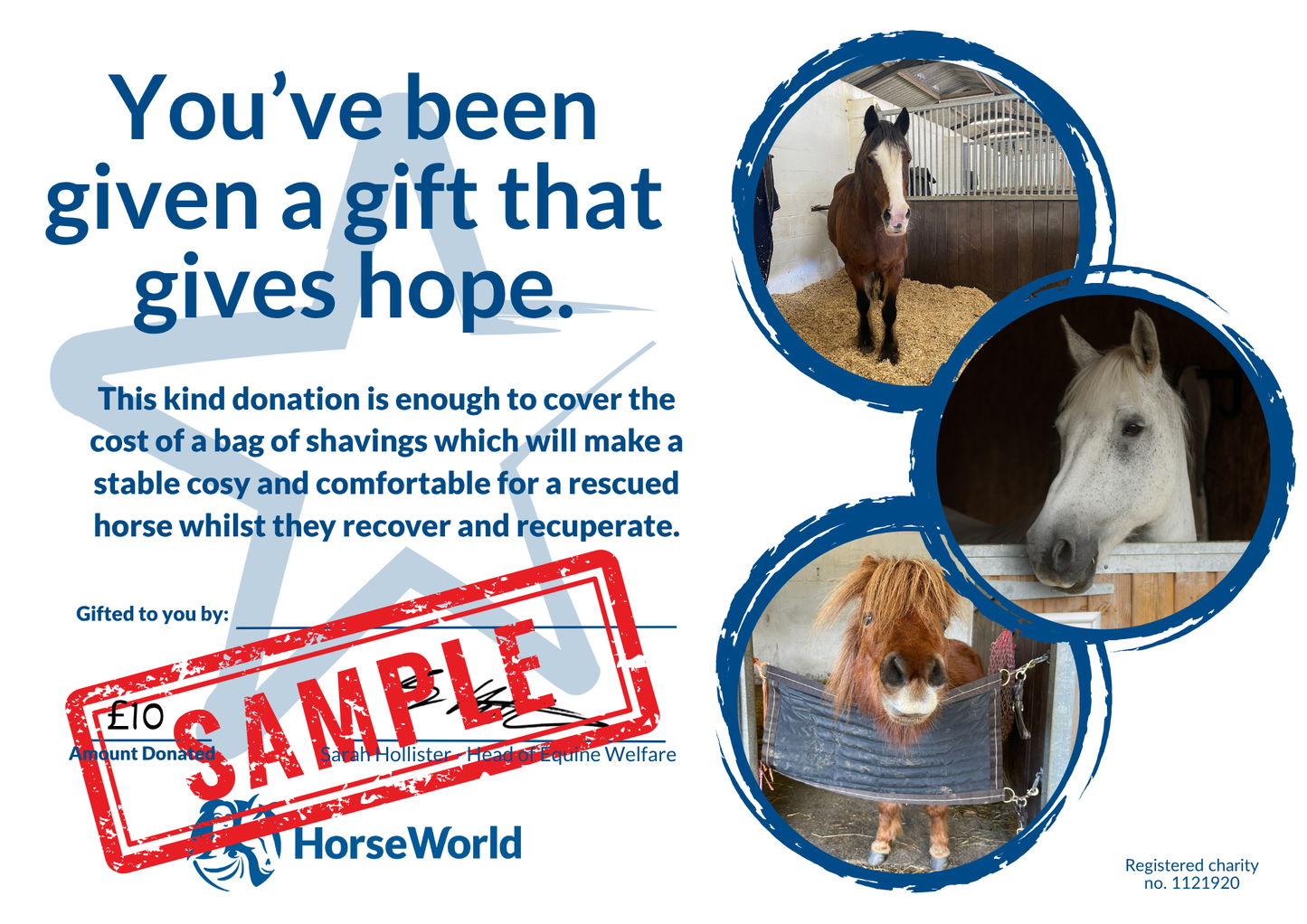 Virtual gift A - £10 could pay for a bale of shavings for a horse to lie on in the stable.