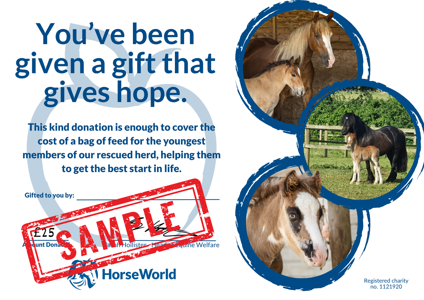 Virtual gift B - £25 could buy a 20kg bag of youngstock feed, helping foals get the best start in life.