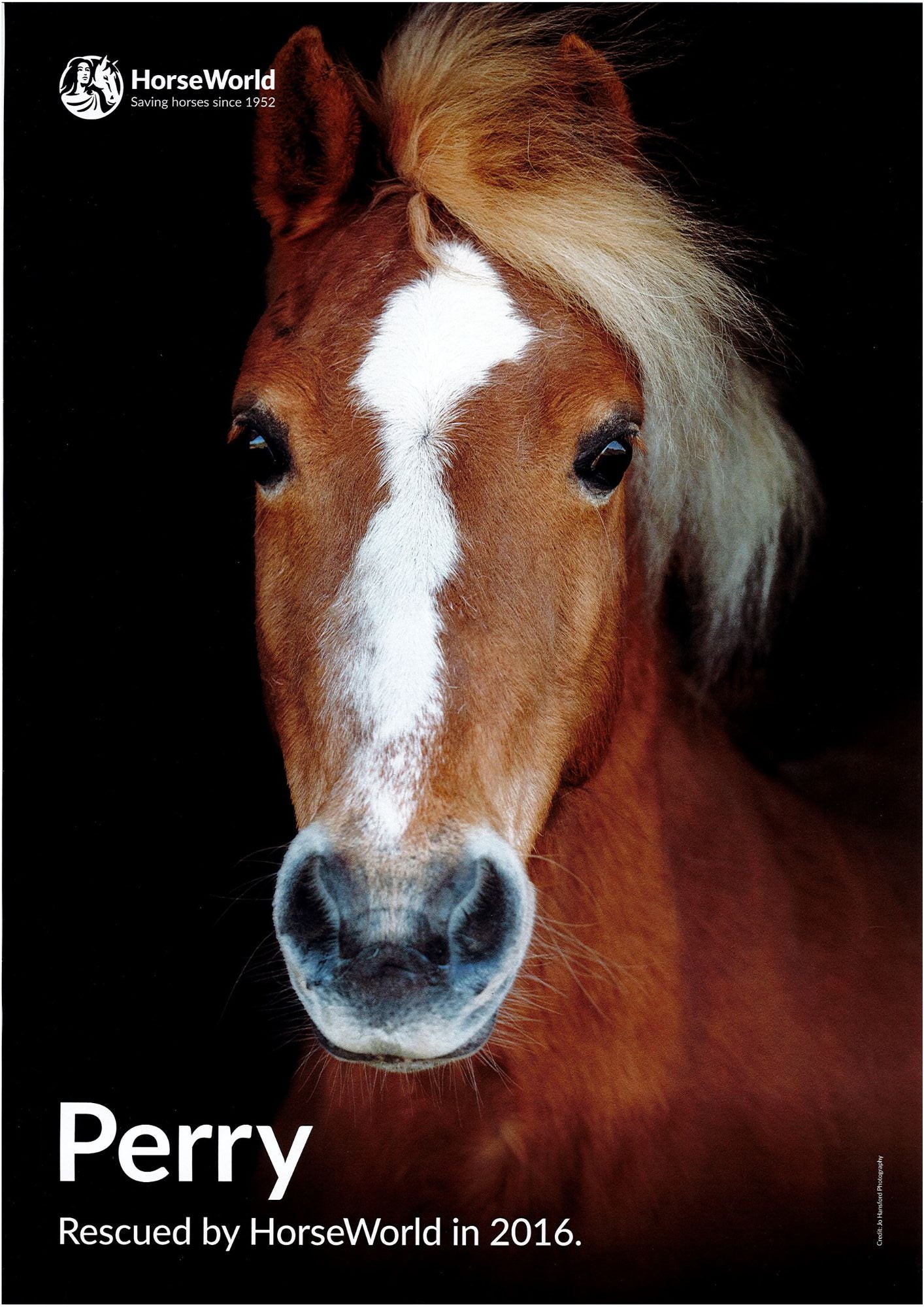 HorseWorld posters