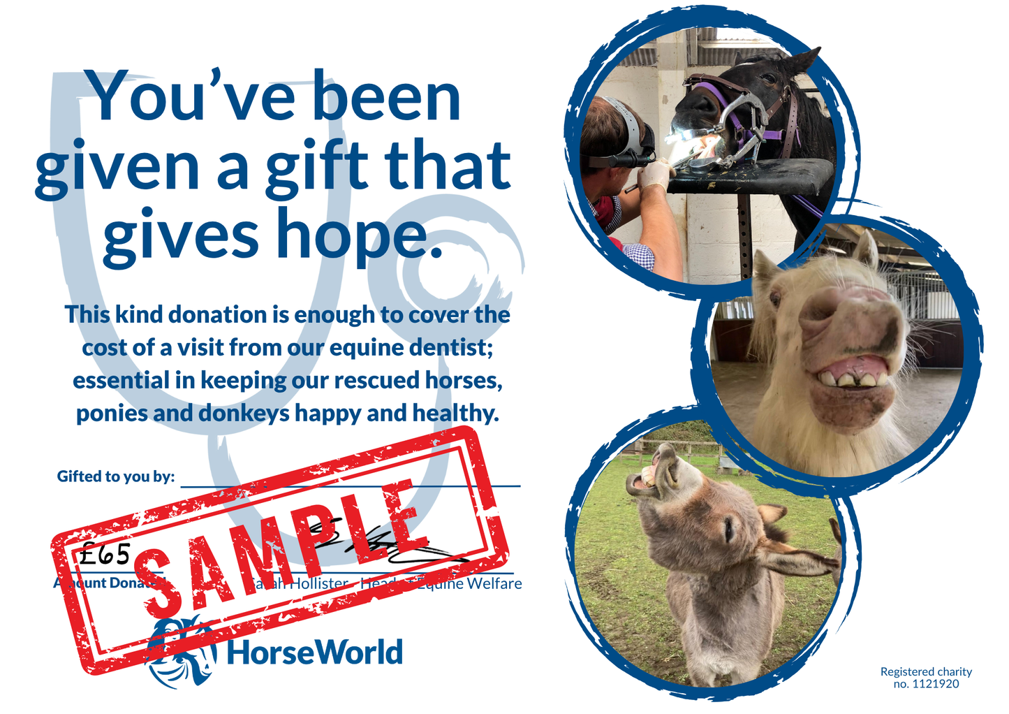 Virtual gift E - £65 could pay for a horse's dental treatment.