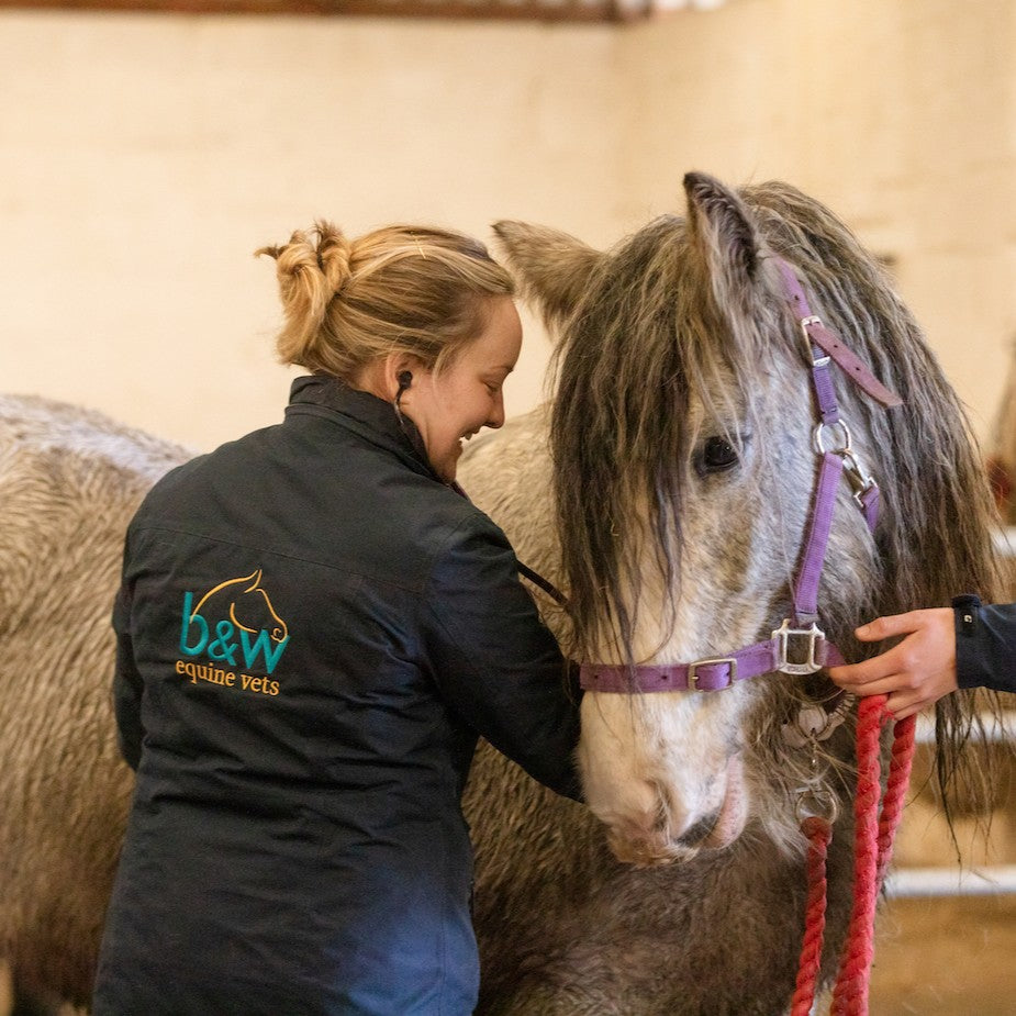 Virtual gift - £50 could pay for a horse's vaccinations for a year.