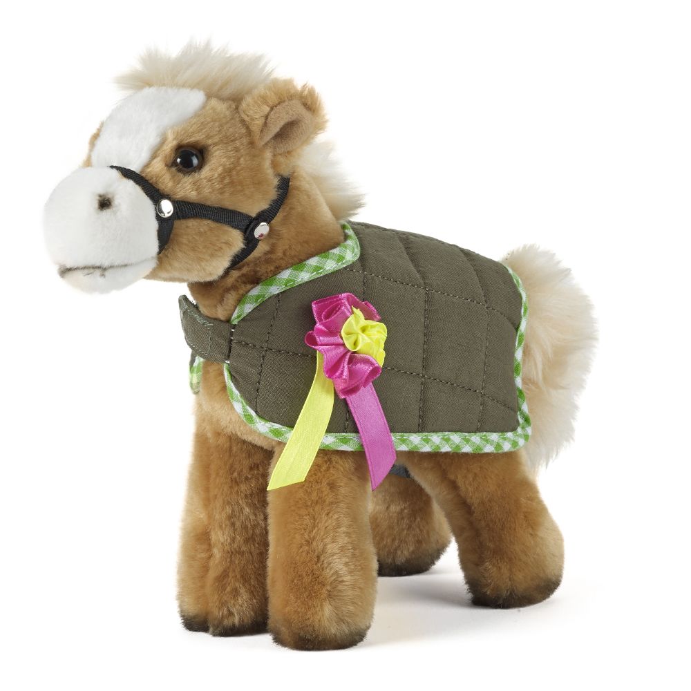 Horse with rug, headcollar and rosette