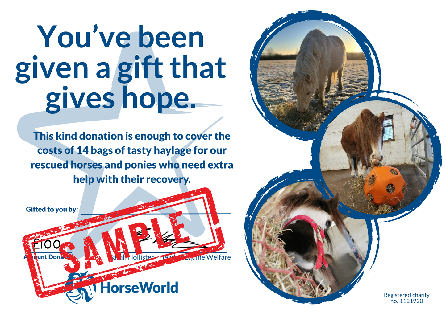 Virtual gift G - £100 could pay for 14 bags of haylage