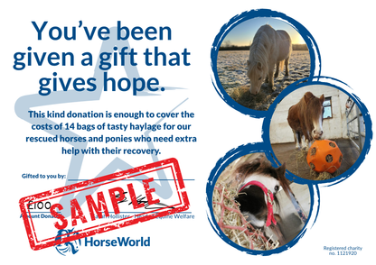 Virtual gift G - £100 could pay for 14 bags of haylage