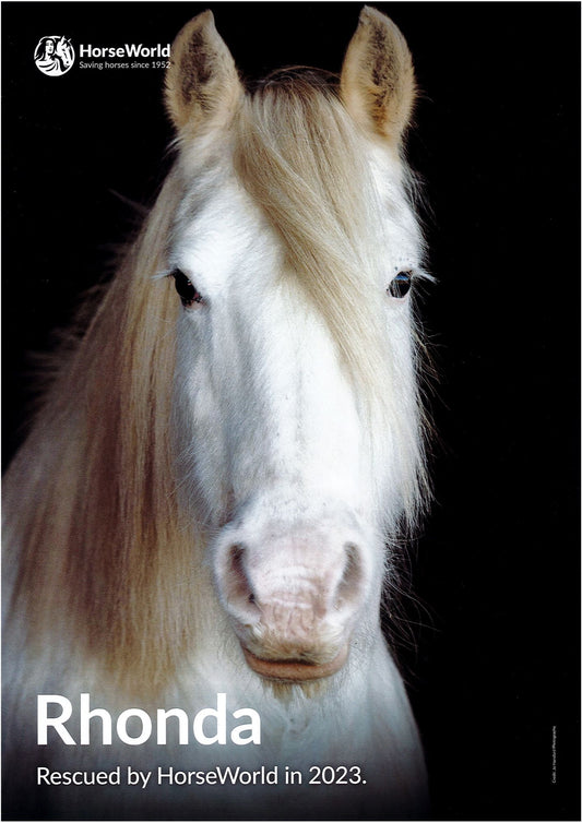 HorseWorld posters