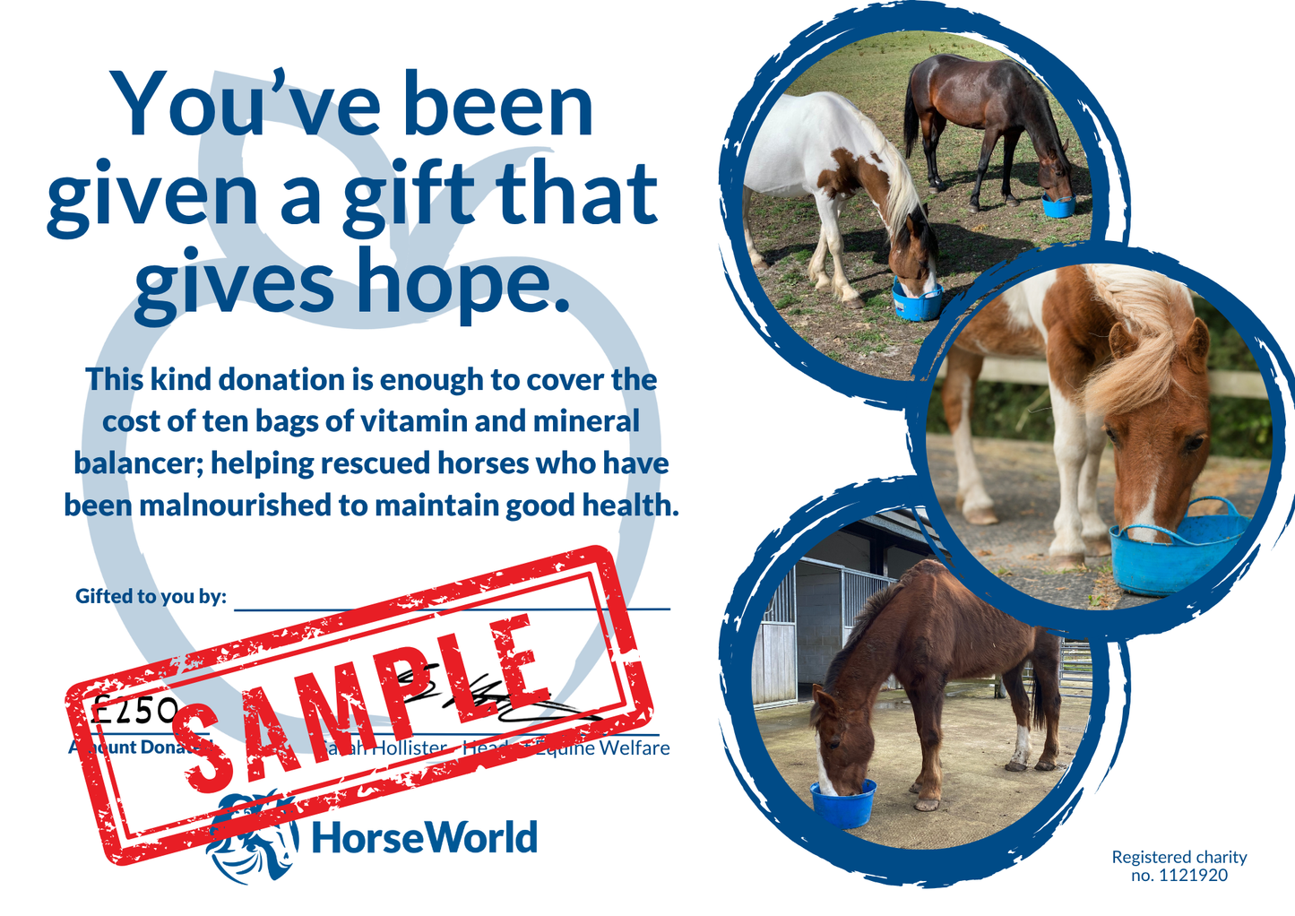 Virtual gift H - £250 could pay for 10 bags of vitamin and mineral balancer