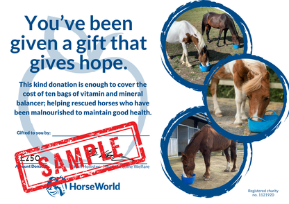 Virtual gift H - £250 could pay for 10 bags of vitamin and mineral balancer