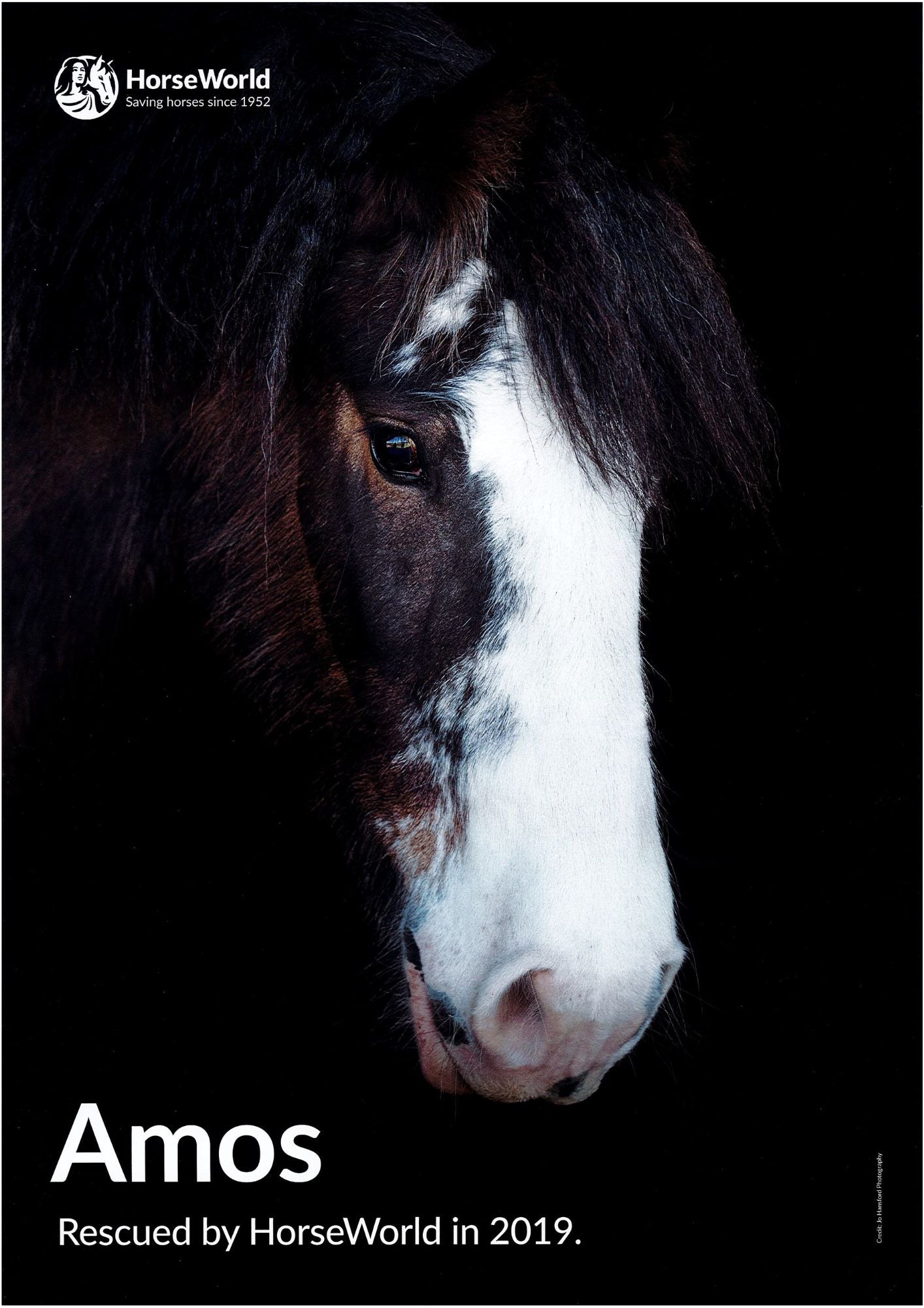 HorseWorld posters