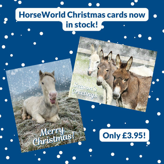 HorseWorld Charity Christmas Cards 2024