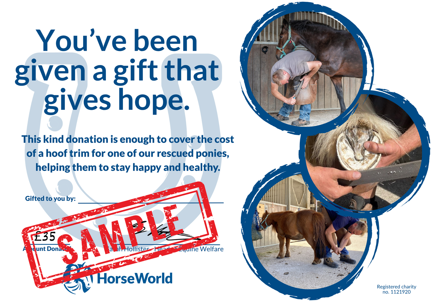 Virtual gift C - £35 could pay for a horse's hooves to be trimmed.