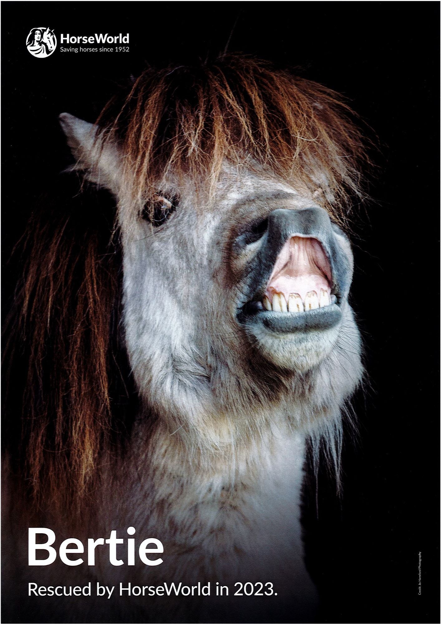 HorseWorld posters