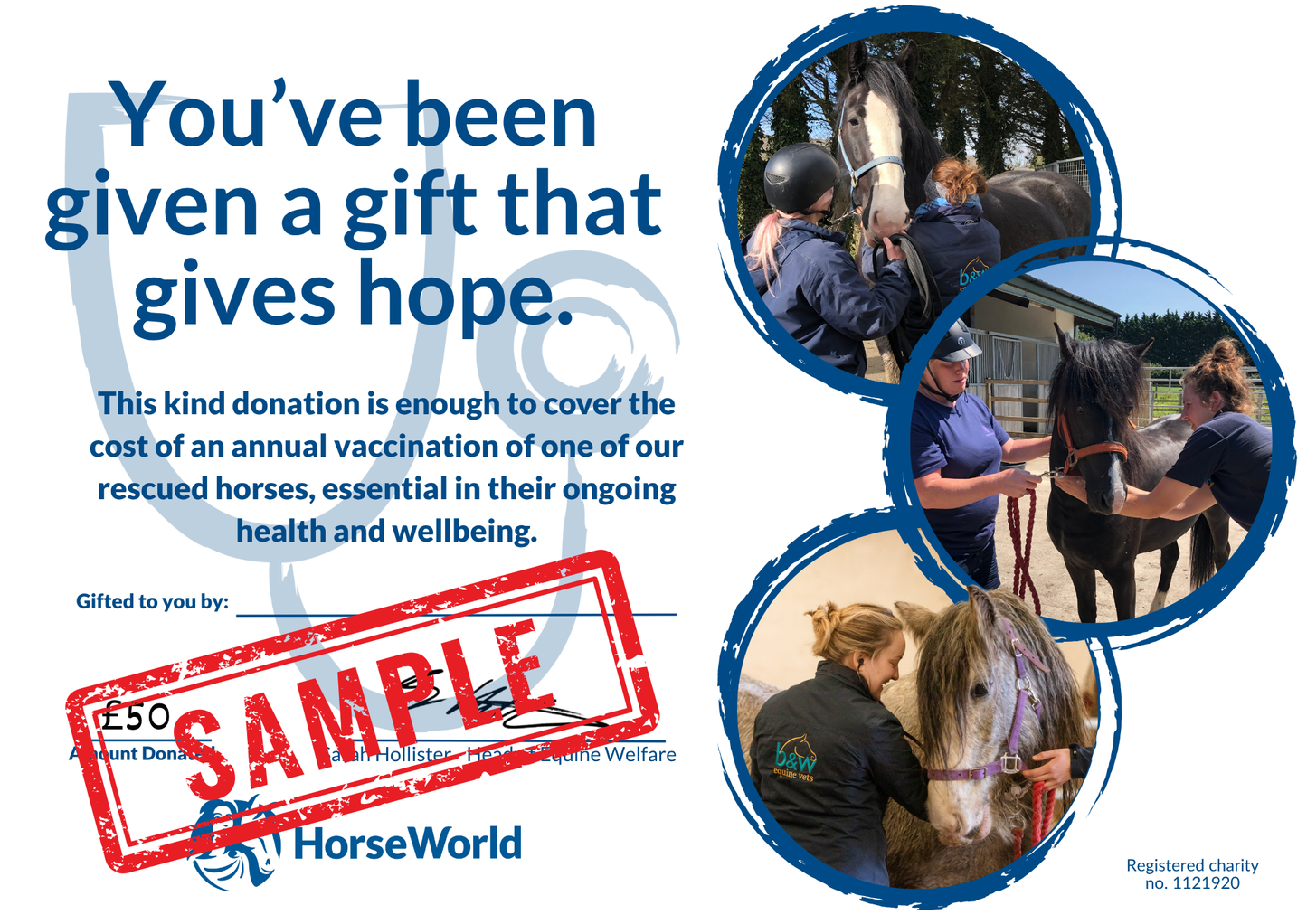 Virtual gift D - £50 could pay for a horse's vaccinations for a year.