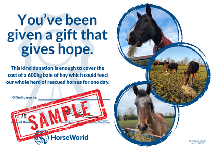 Virtual gift F - £75 could pay for a 600kg bale of hay to feed the whole herd!