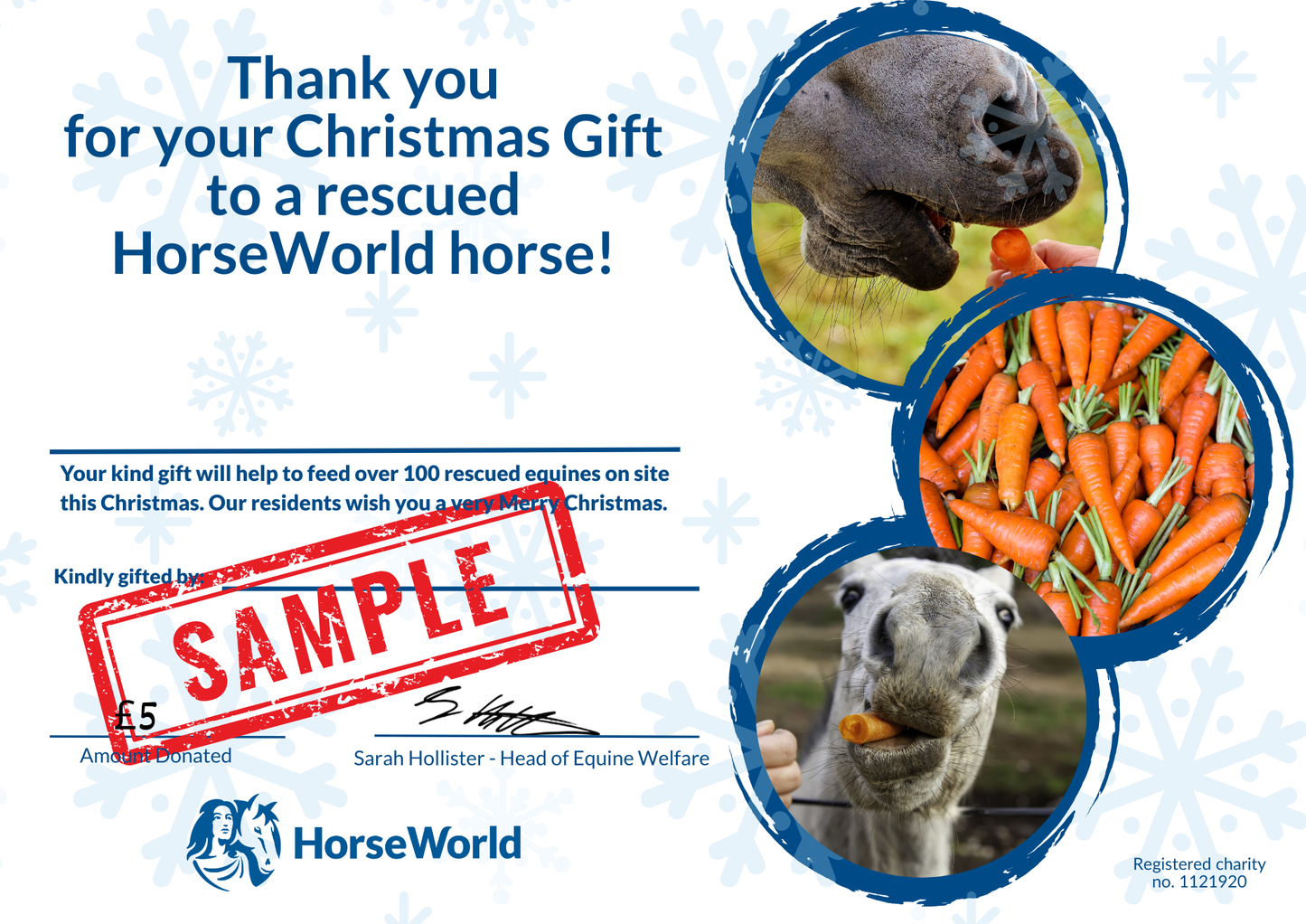 Virtual gift - £5 could pay for a bag of carrots for a rescued HorseWorld horse