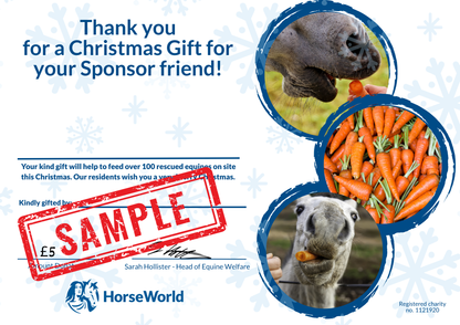 Virtual gift - £5 could pay for a bag of carrots for your Sponsored horse