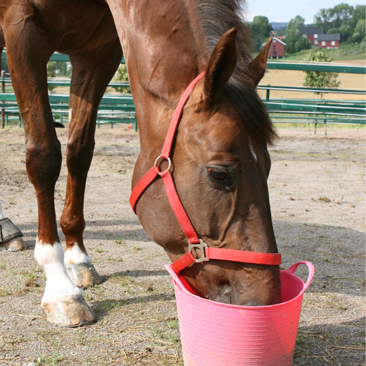 Virtual gift H - £250 could pay for 10 bags of vitamin and mineral balancer