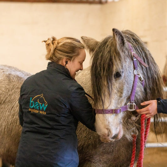 Virtual gift - £50 could pay for a horse's vaccinations for a year.