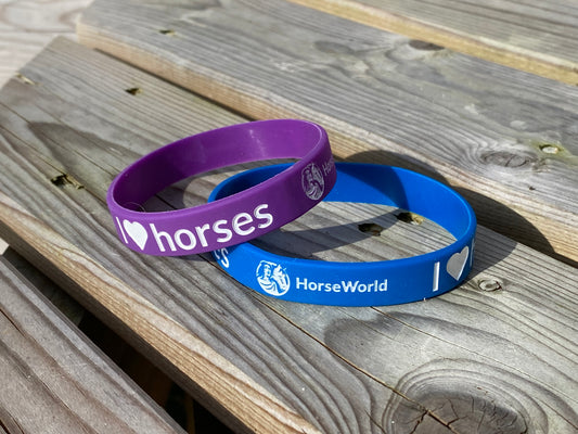 HorseWorld Wristband