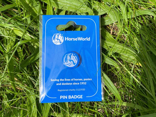 HorseWorld Pin Badge