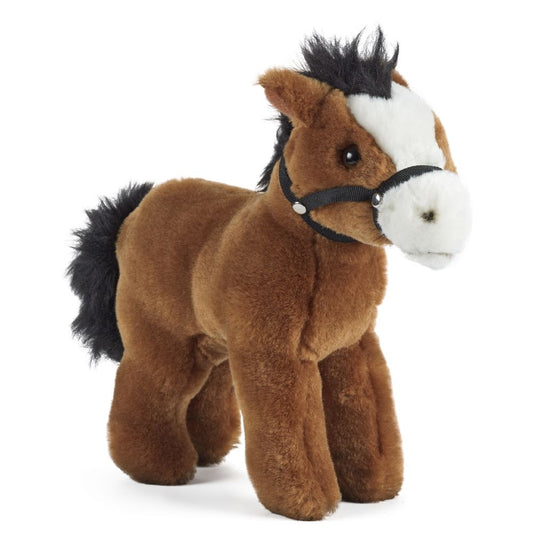 Horse with headcollar